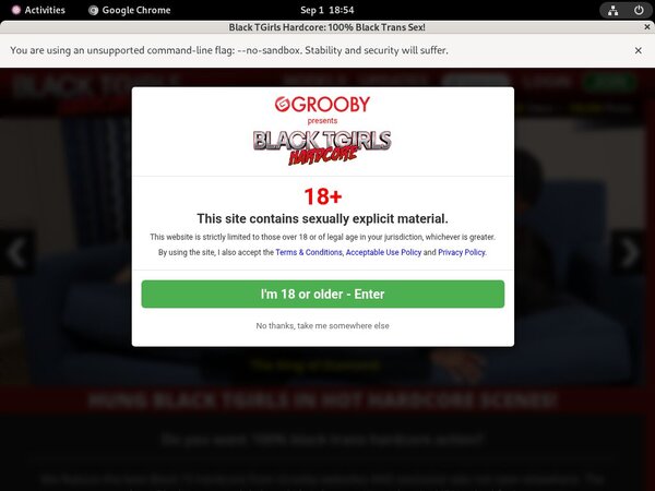 Access To Blacktgirlshardcore.com