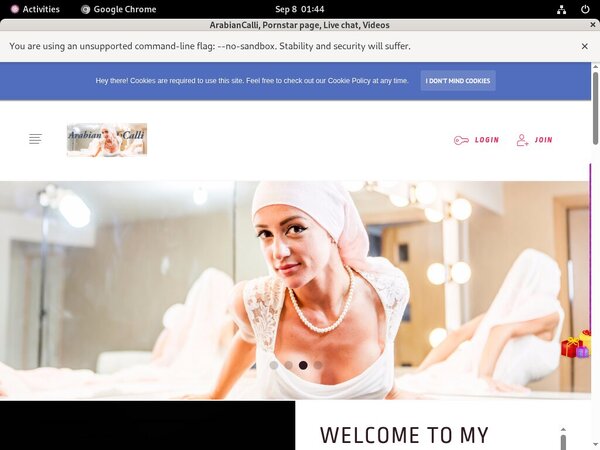 ArabianCalli Allow Paypal