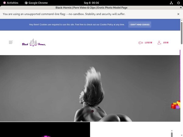 BLACKHORNIS Account Information