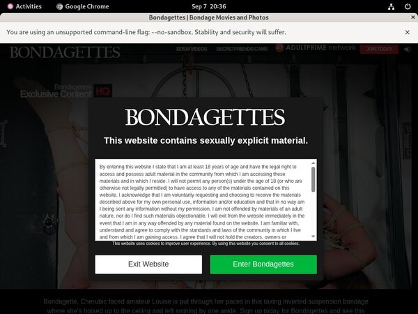 Bondagettes.com Take Paypal