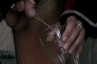 Boys-pissing.com Working Password s0