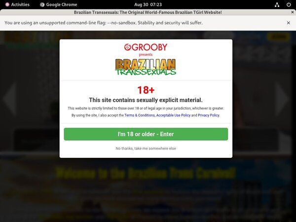 Brazilian Transsexuals Discount Review