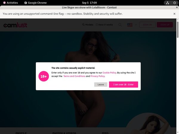 Camlust.com Accounts Free