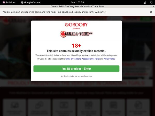 Canadatgirl Logins For Free