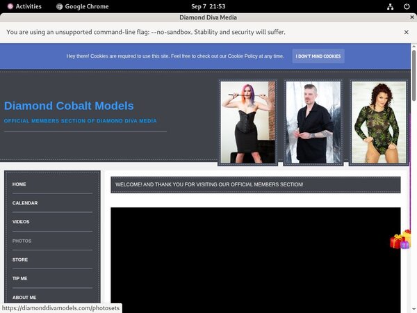 Diamonddivamodels.com With Directpay