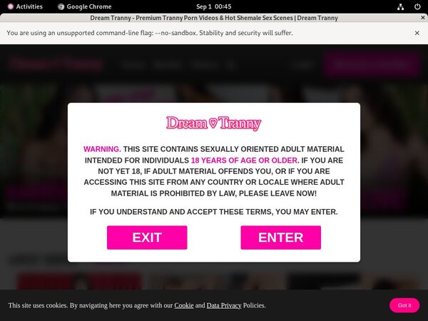 Dreamtranny.com Mit ELV