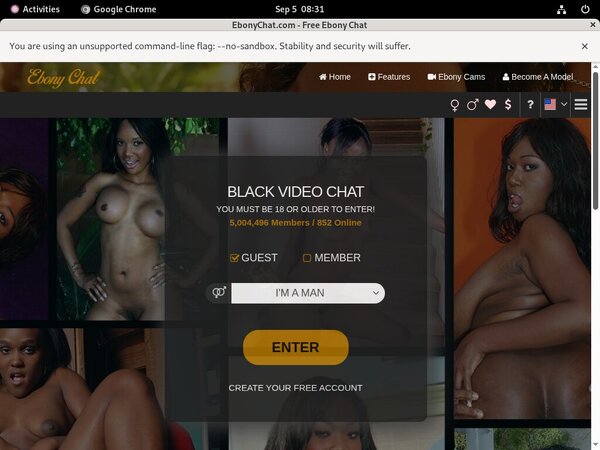 Ebony Chat Account Passwords