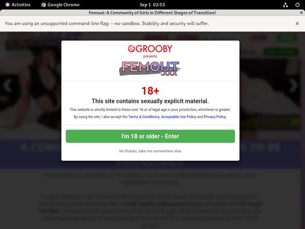 Femout XXX Latest Passwords