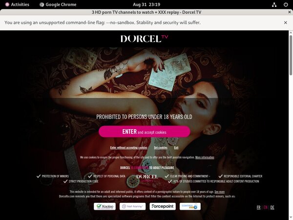 Free Dorceltv Account Logins