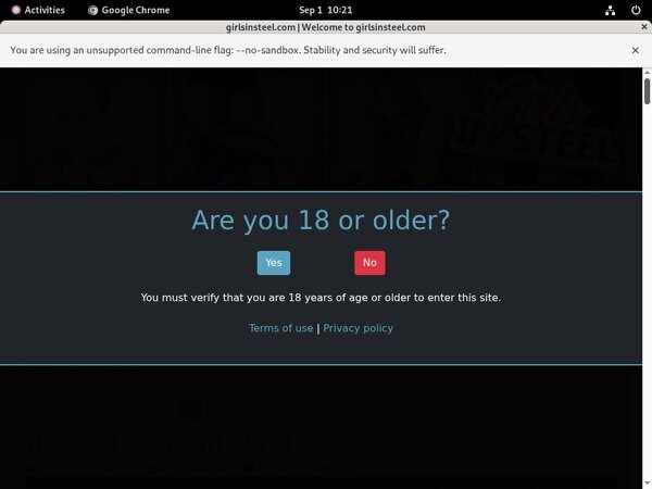 Free Passwords For Girlsinsteel