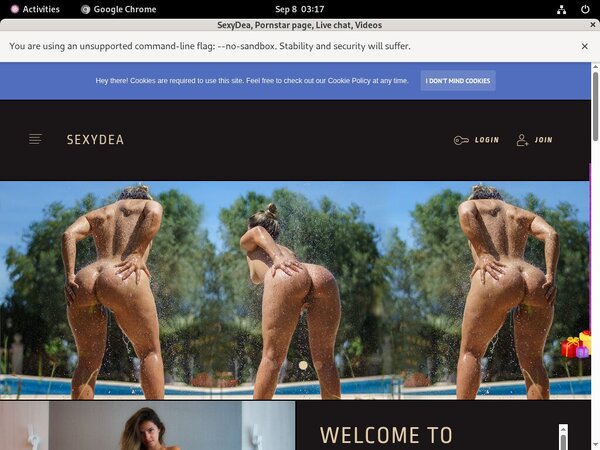 Free Passwords For SexyDea