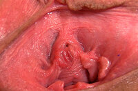 Gape My Pussy Trial Account s1