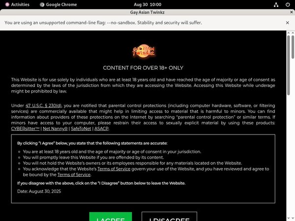 Gayasiantwinkz.com ??