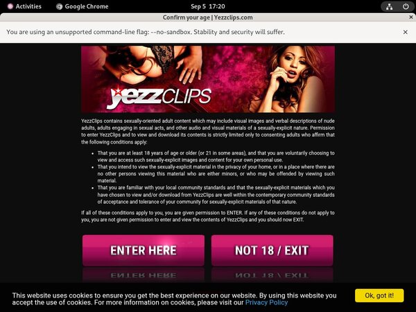 Get Free Yezzclips.com Passwords