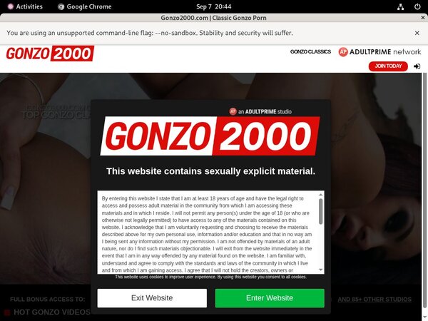 Gonzo2000.com Paypal Options