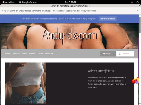 How Much Does Andy-d.modelcentro.com Cost