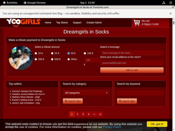 Is DreamgirlsInSocks Real?