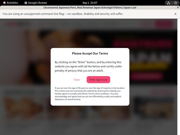 Japanlust.com Network