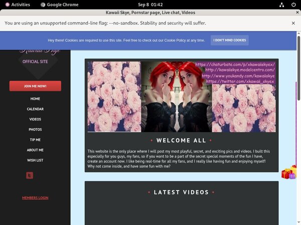 Kawaiiskye.modelcentro.com Newest Kawaiiskye.modelcentro.com Newest