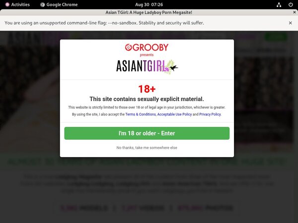 Ladyboy Ladyboy Porn Review