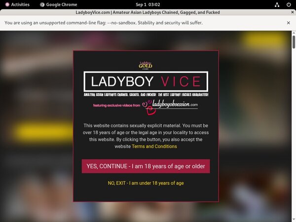 Ladyboy Vice Create Account