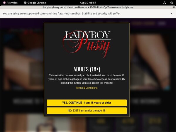 Ladyboypussy Premium Discount