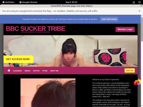 Linxer2013 Account List