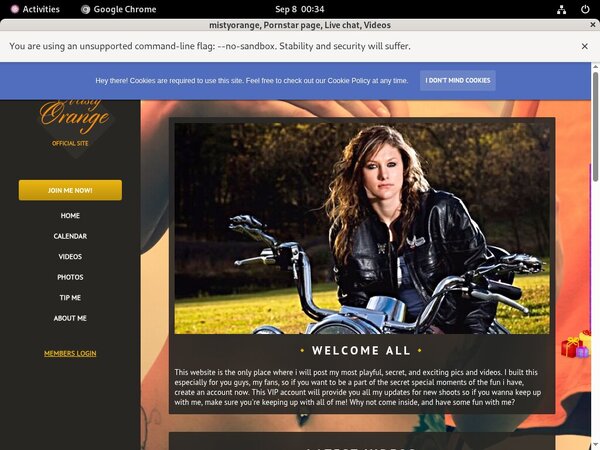Mistyorange Premium Logins