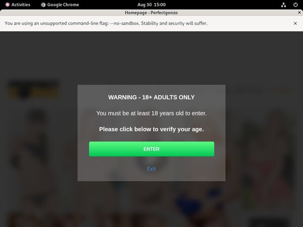 Passwords To Perfect Gonzo