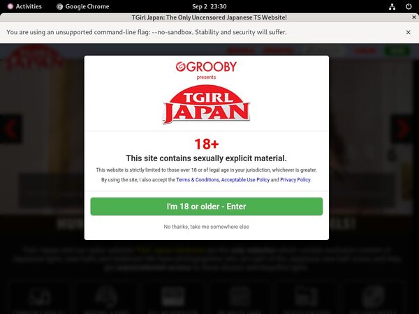 Premium TGirl Japan Passwords