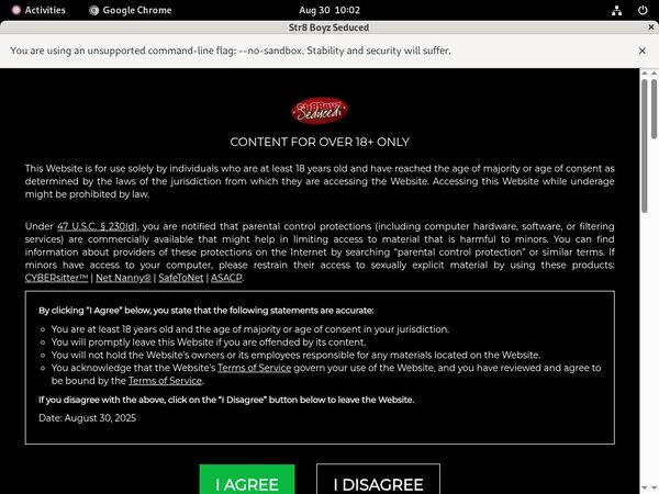 Seduced Boyz Str8 Premium Account