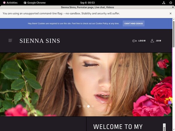 Sienna Sinns Account And Password