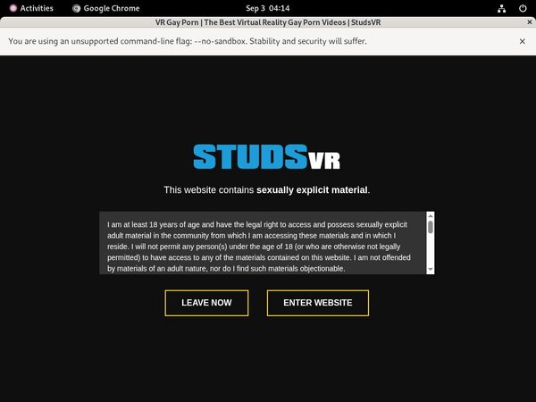 Studs VR Recent