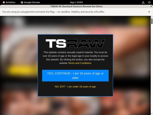 TS Raw Site Rip Dl