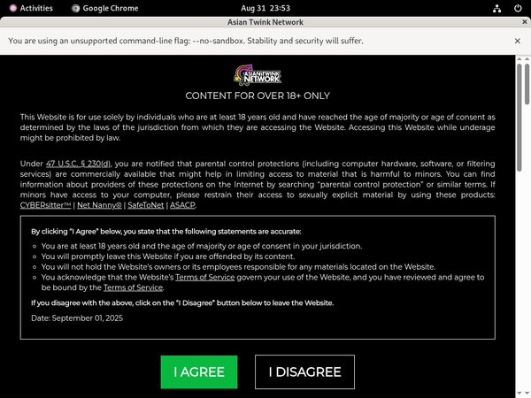 Thaigayboys.com Using Paypal