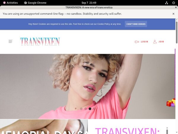 TransVixen Using Discount