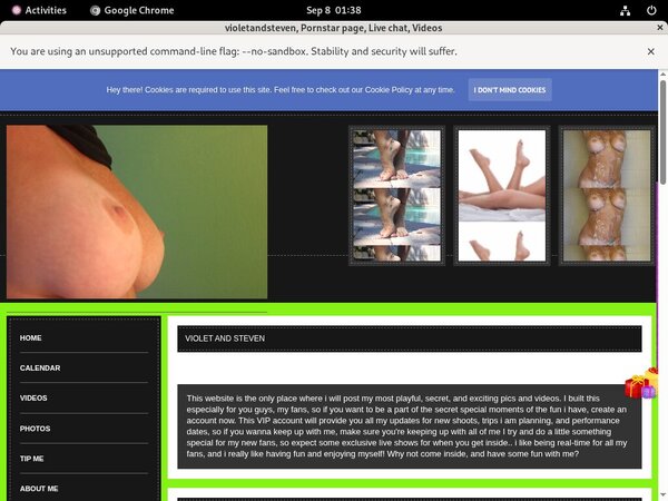 Violetandstevmodelcentro.com Password Details