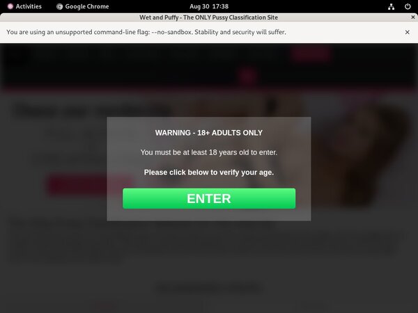 Wetandpuffy.com Web Site