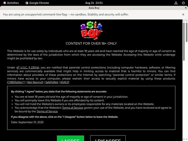 New Asia Boy Site Rip