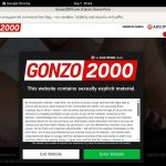 Gonzo2000.com Paypal Options
